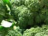 Organic Brocolli