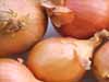 Organic Onions